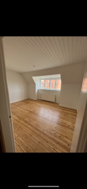 58 m2 moderniseret i Odense C