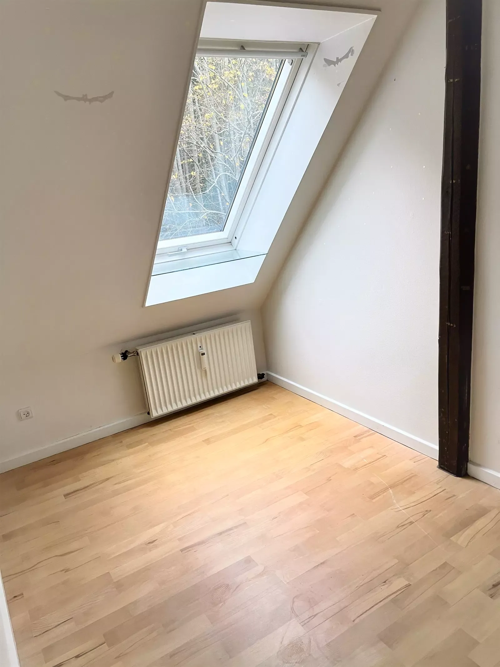 Flot naturlig  beliggenhed og tæt på det meste.