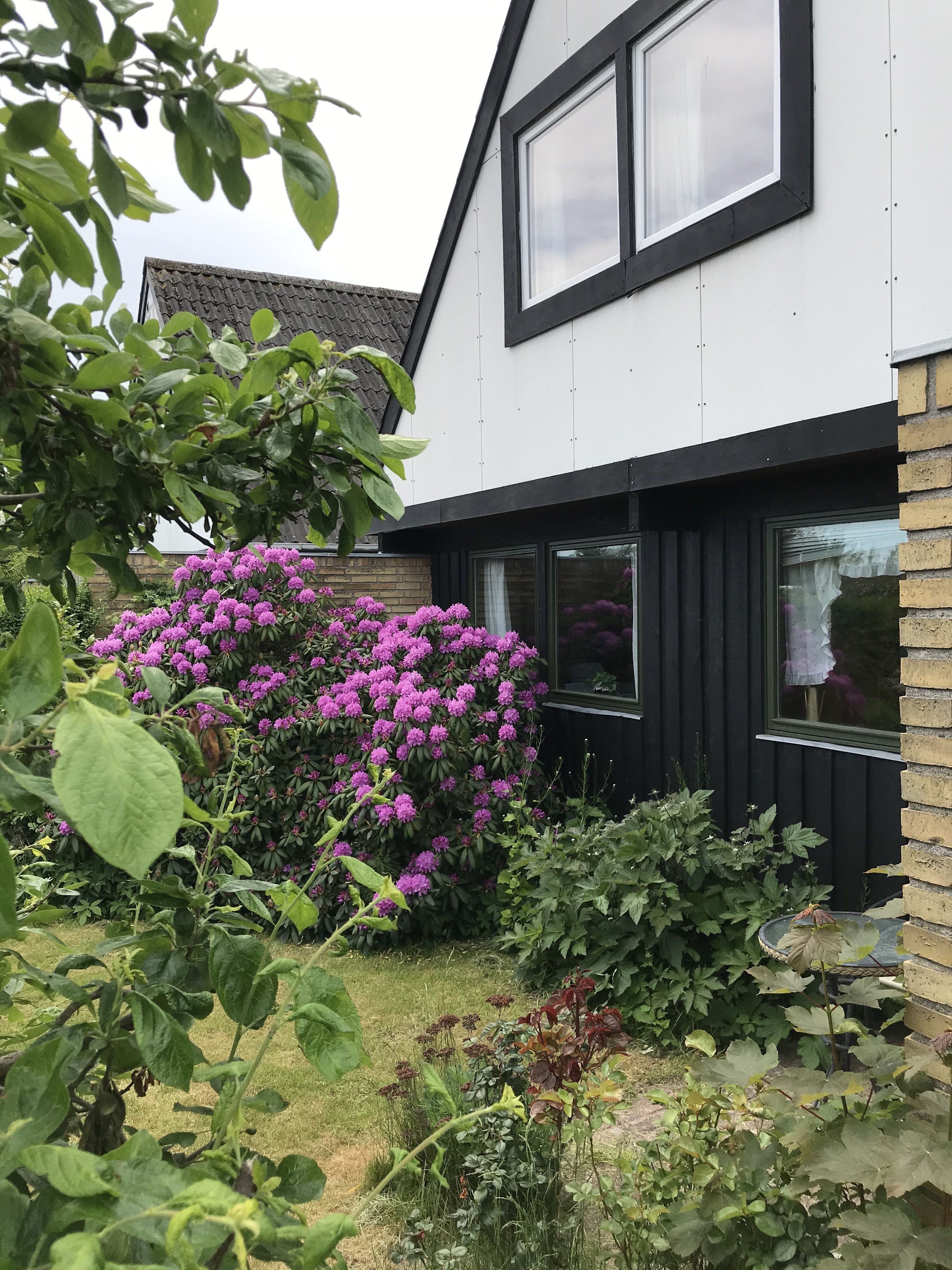 Stue i rækkehus