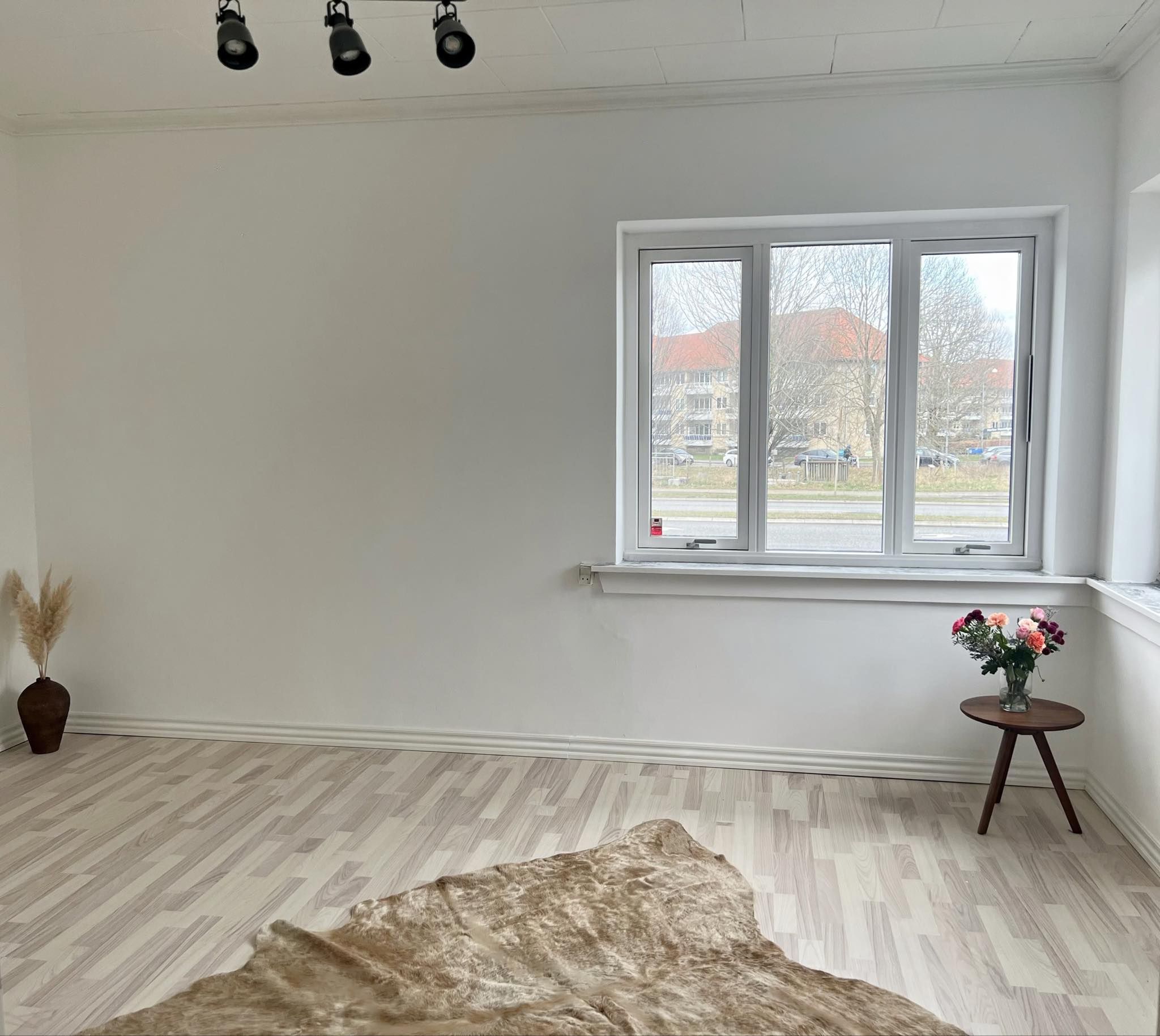 Nyrenoveret hus i hjertet af byen og midt i naturen udlejes