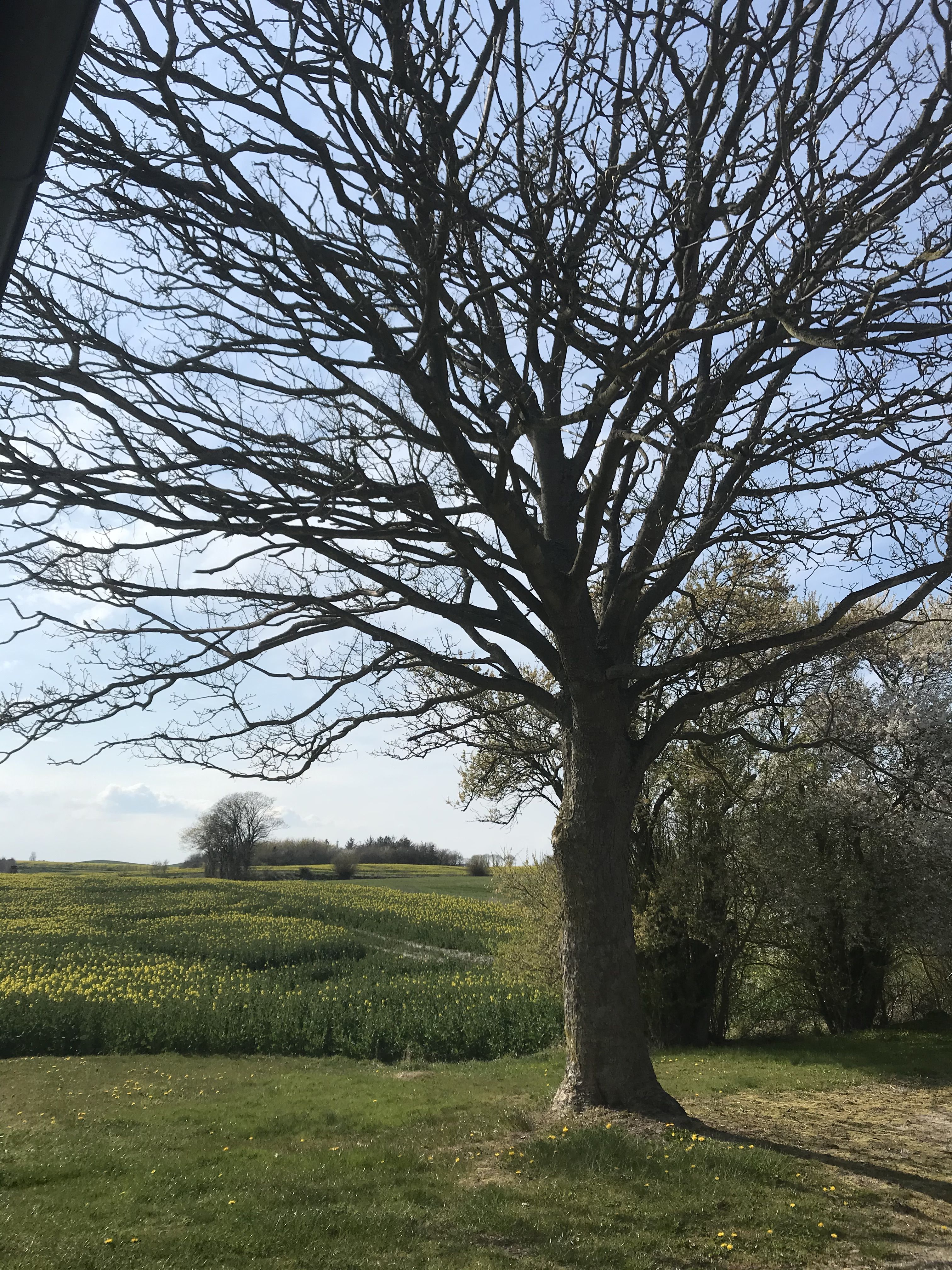 Den smukkeste natur på Hindsholm