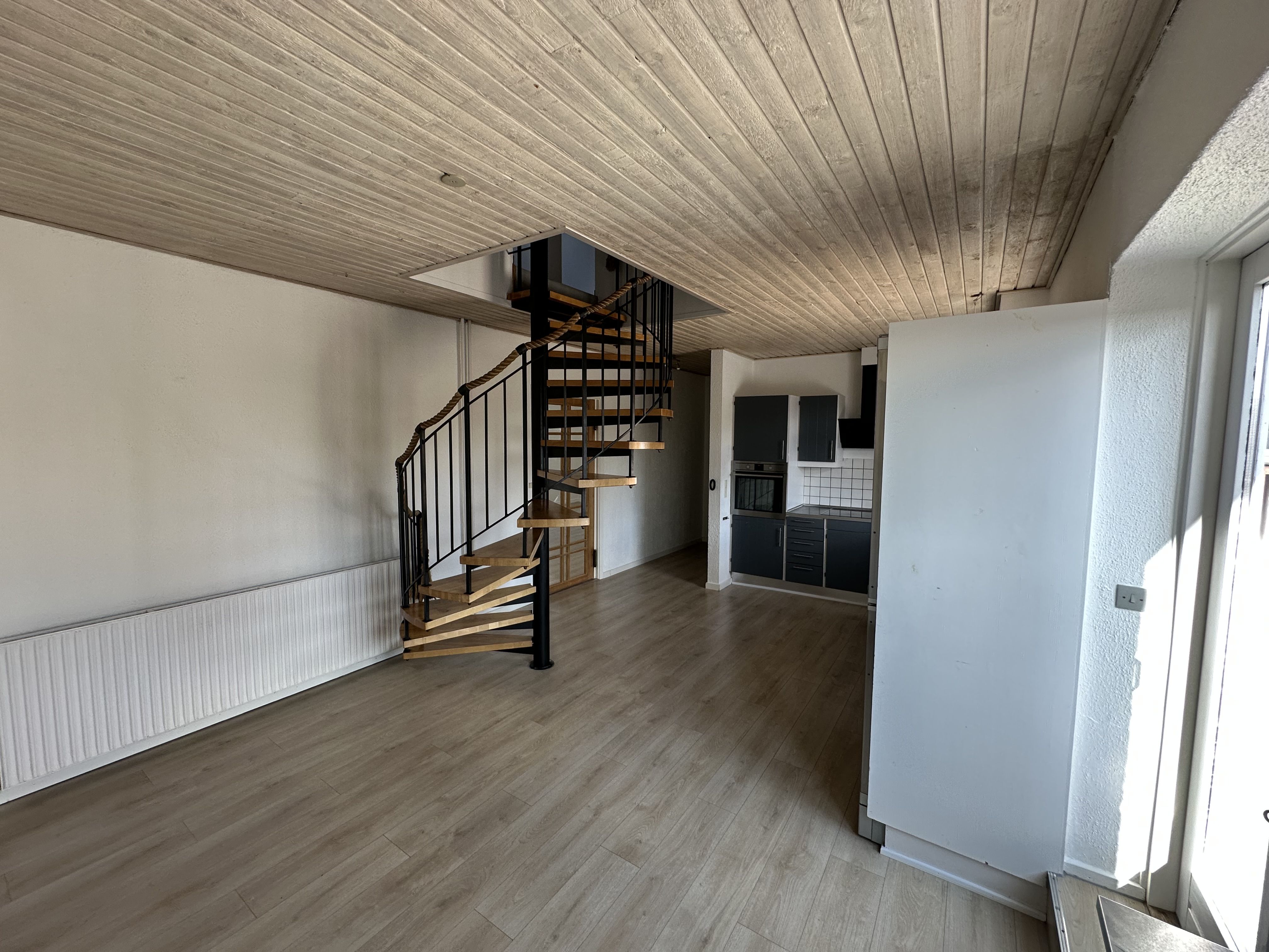 Stor lys renoveret lejlighed i centrum