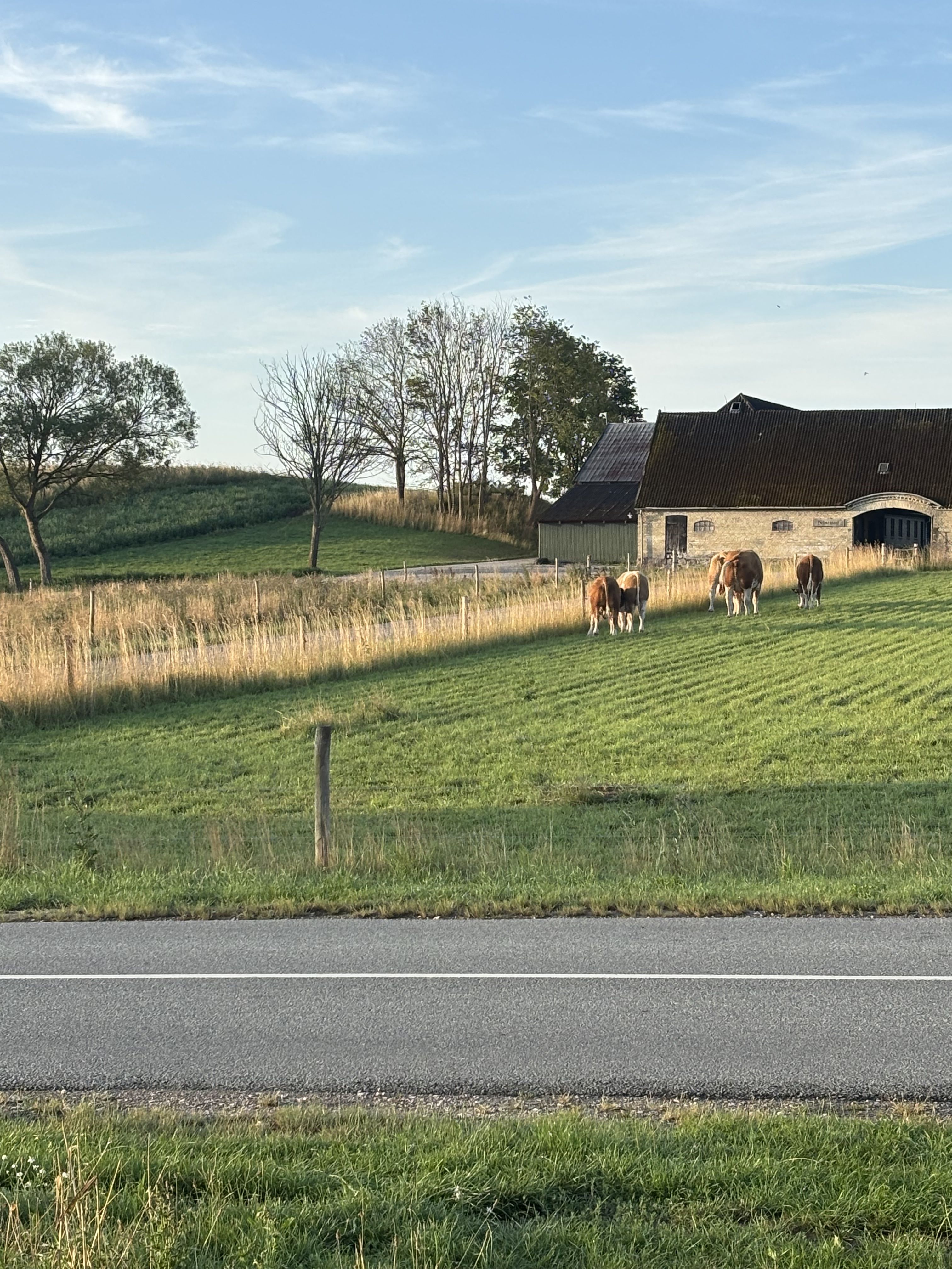 Landhus ved Ledreborg skov i Lejre