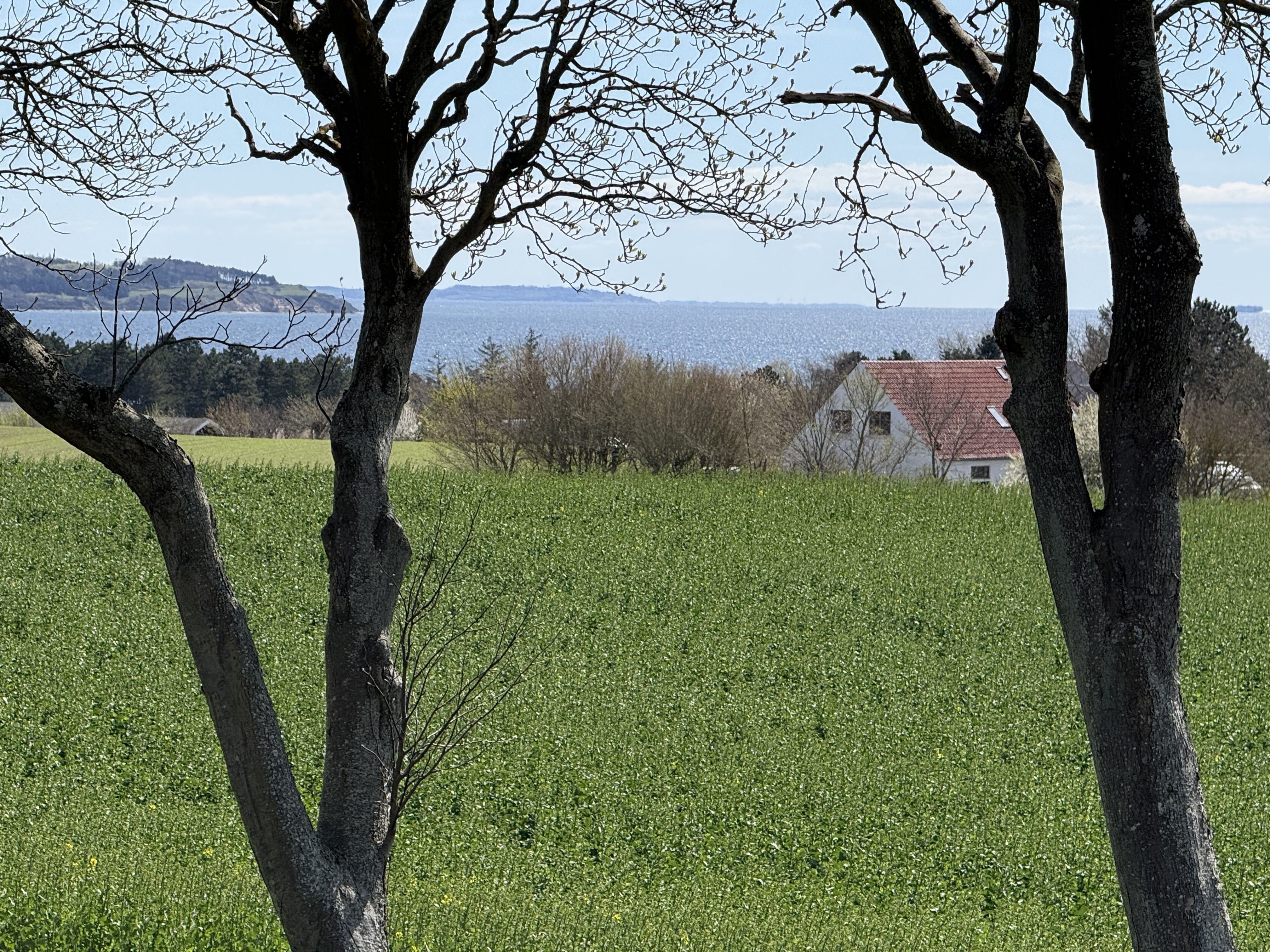 Sognegård i knebel