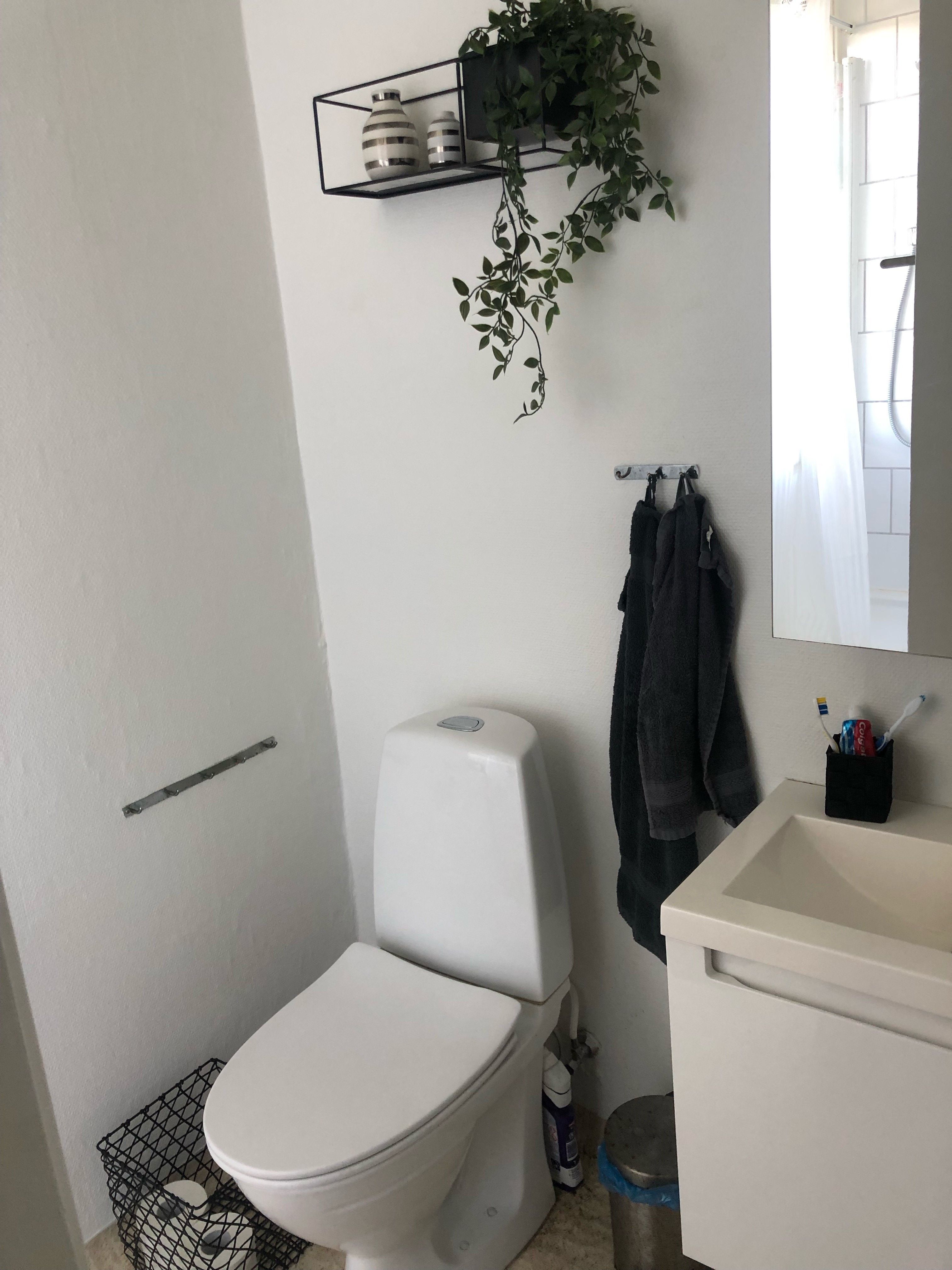 Stor og regulær lejlighed