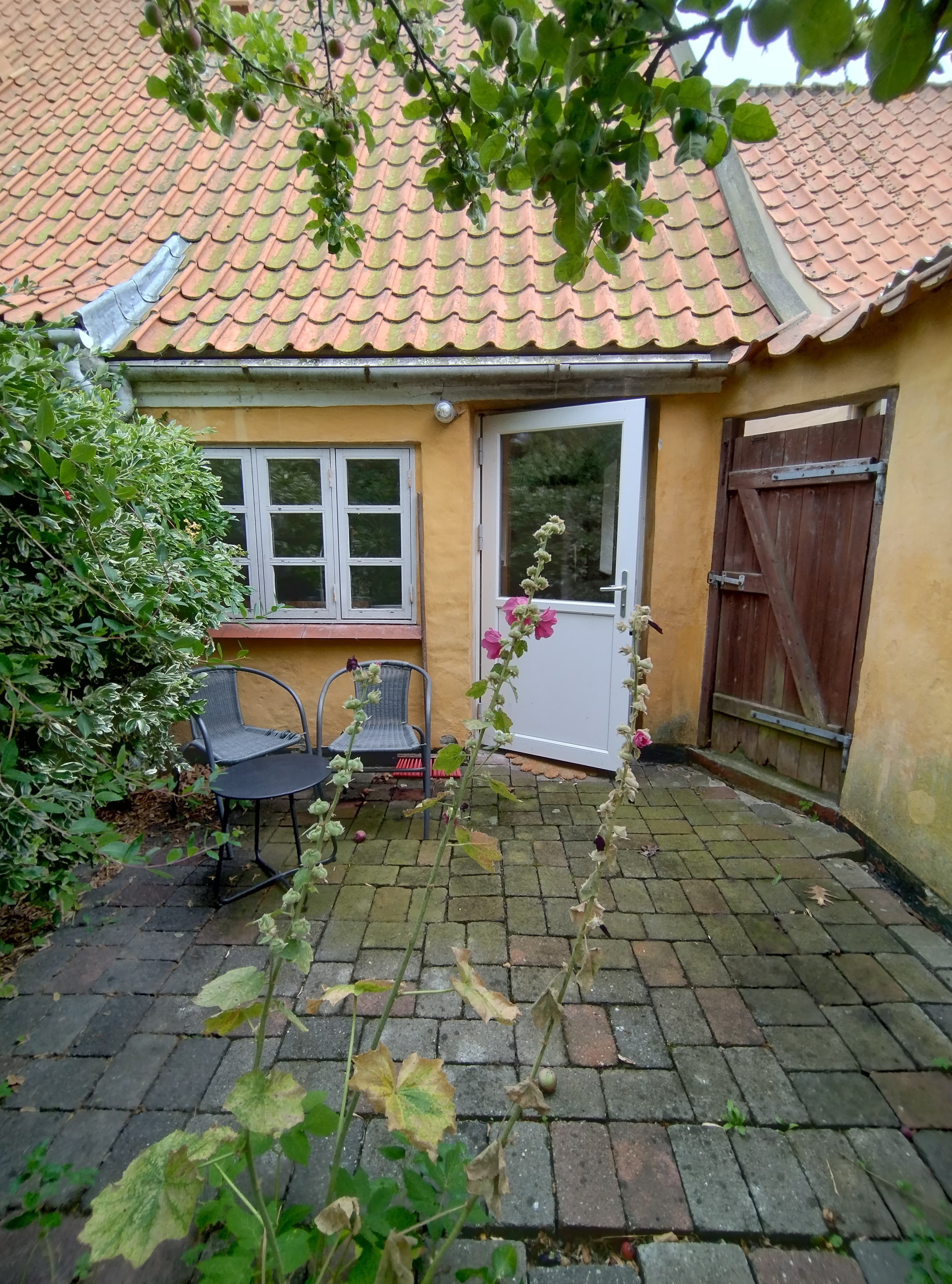 Mindre Byhus med have
