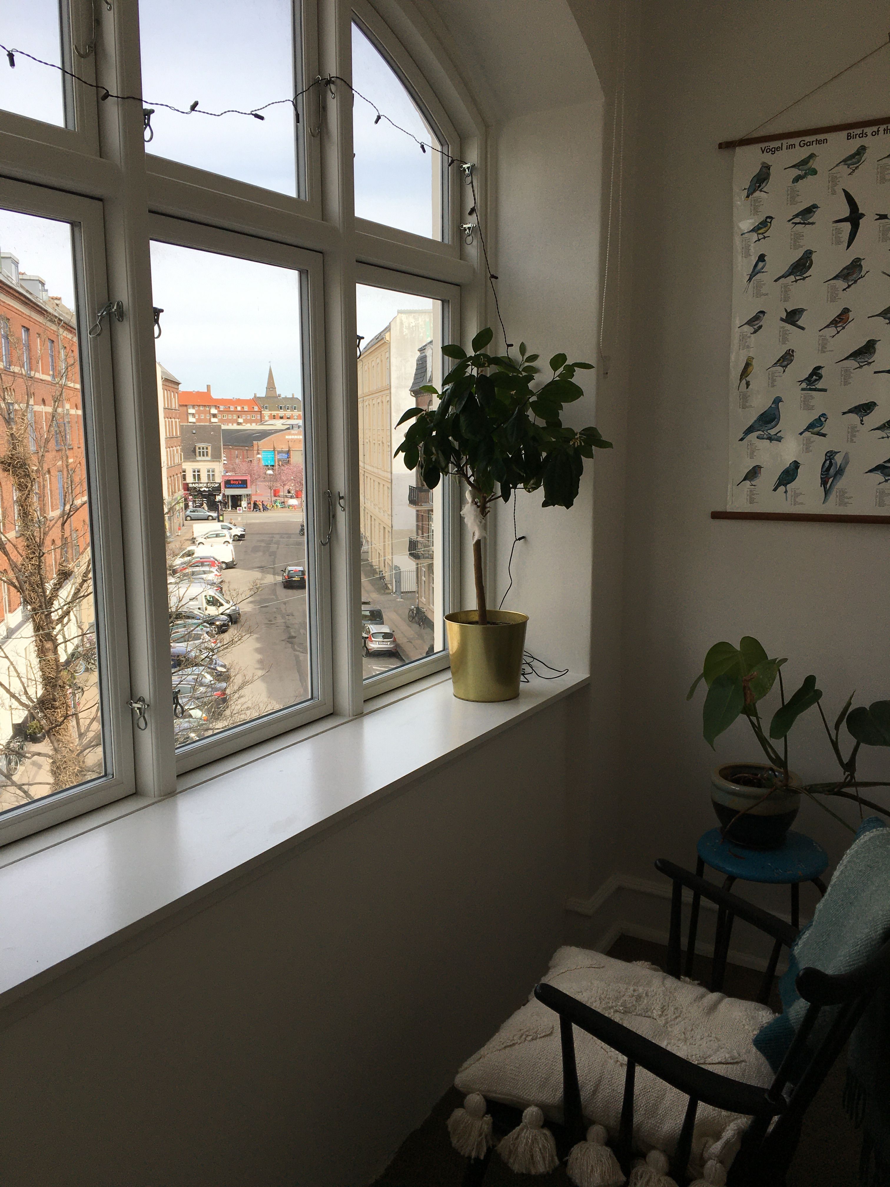 2 værelser i 3V herskabslejlighed på Nørrebro 