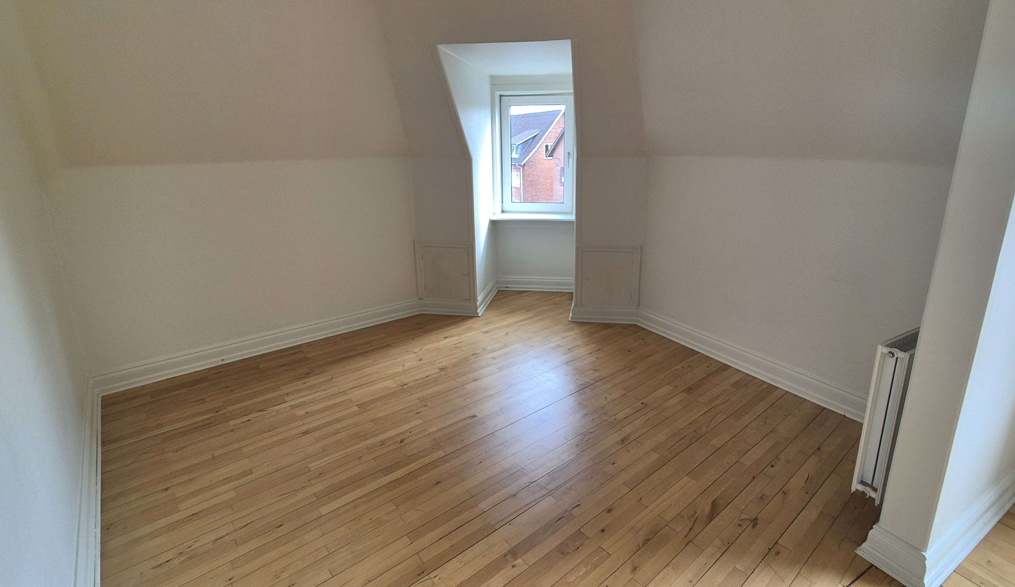 Taglejlighed med stor stue