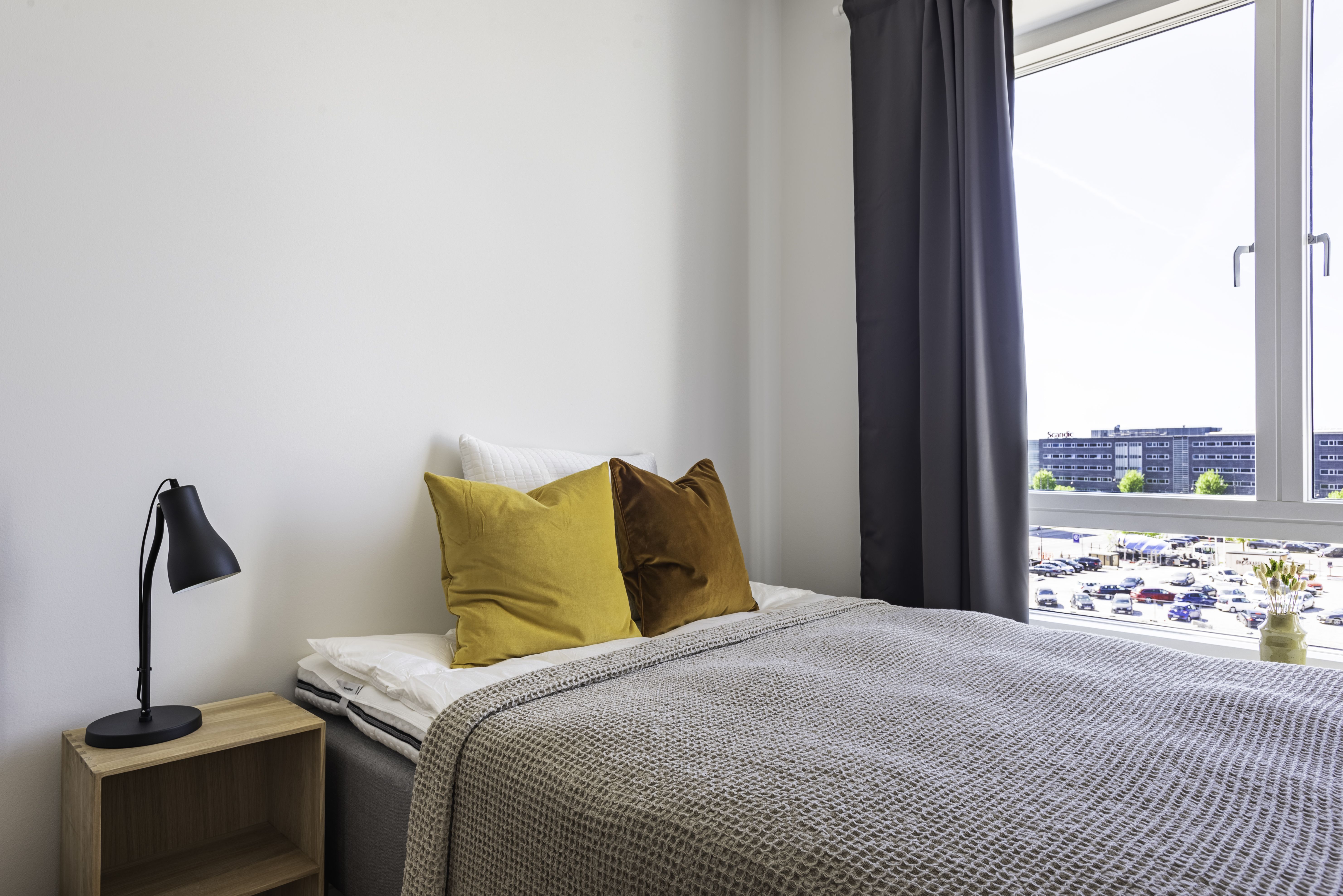 Furnished co-living apartment for working professionals