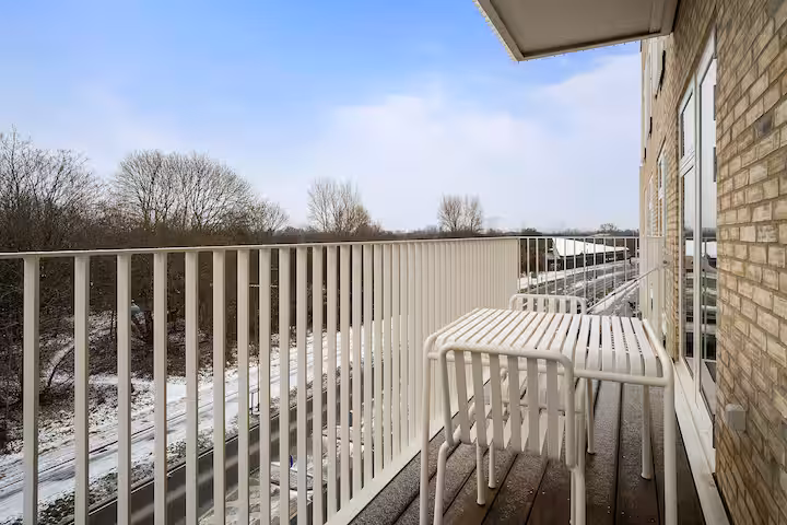Fully furnished luxurious apartment 