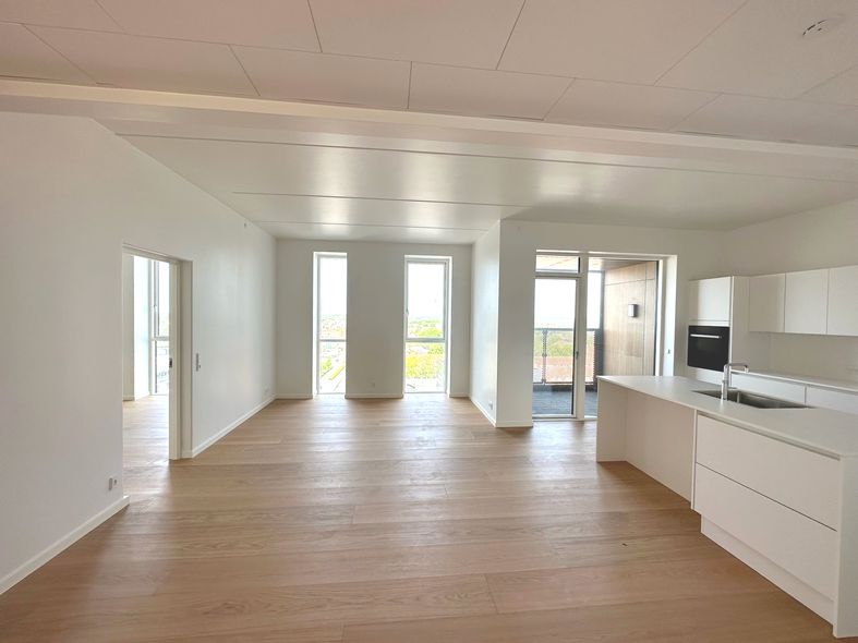 Kælder scarp Hotellet Lejlighed på toppen af Viborg - 227 m² - 22.000 kr
