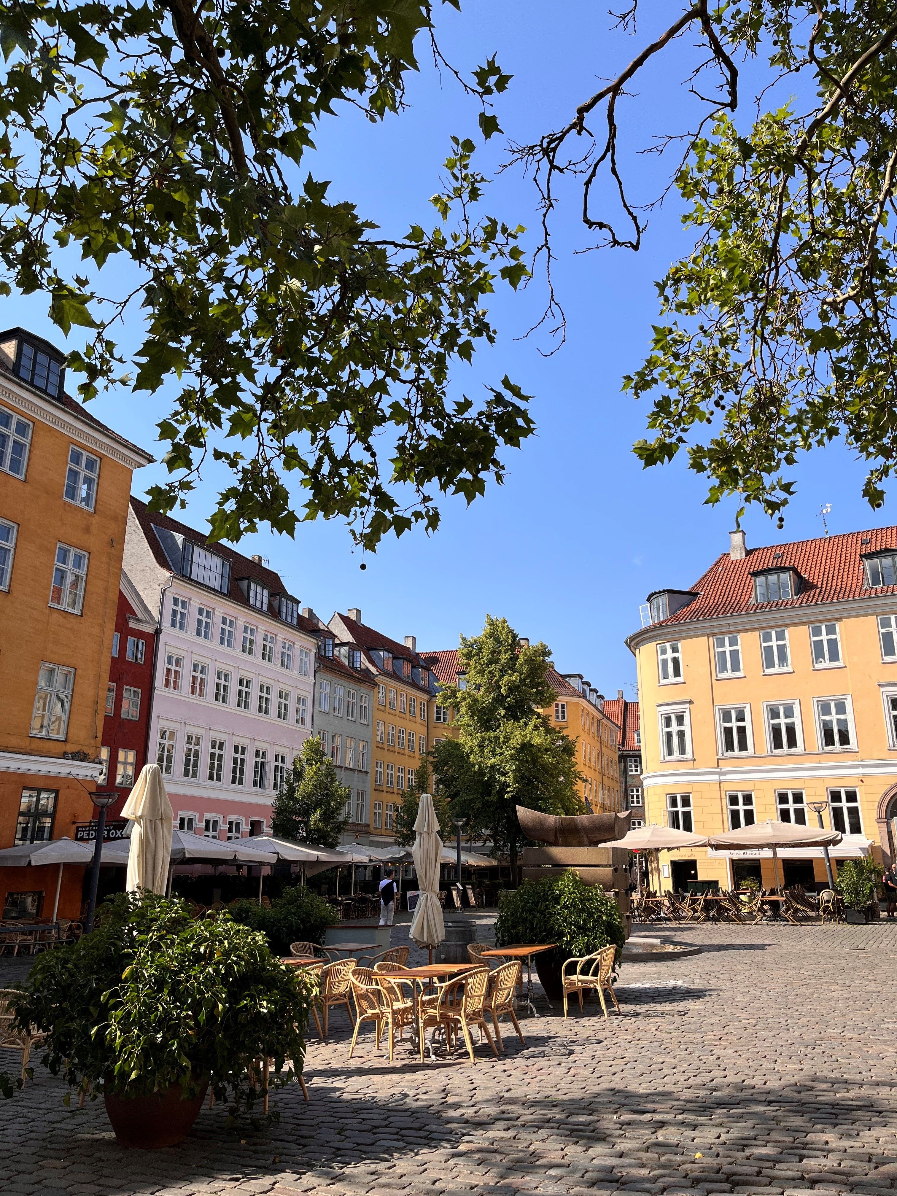 Lejlighed – København, Nørrevold, Indre By - Visning 5
