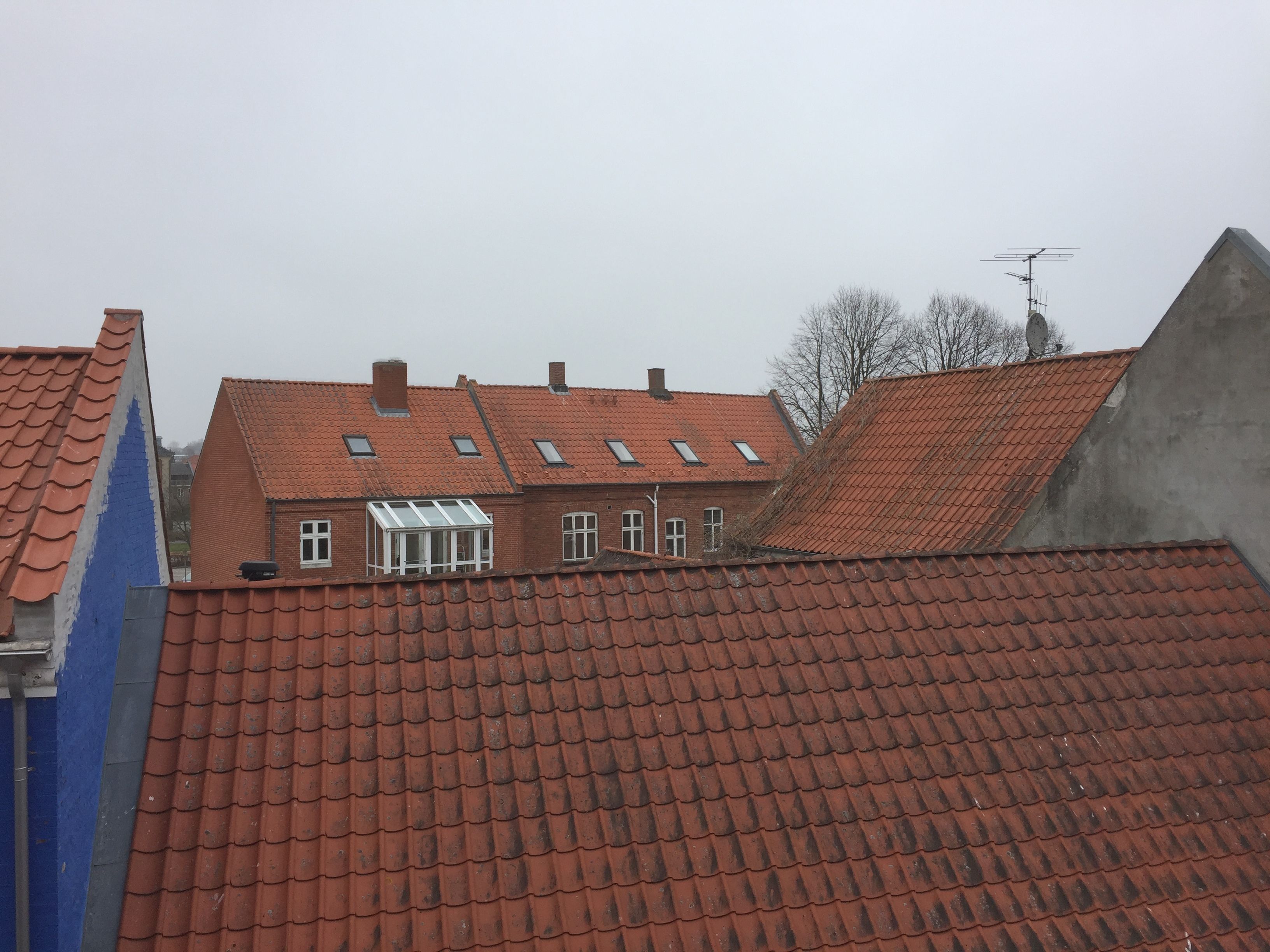 Nyrenoveret 3V lejlighed 