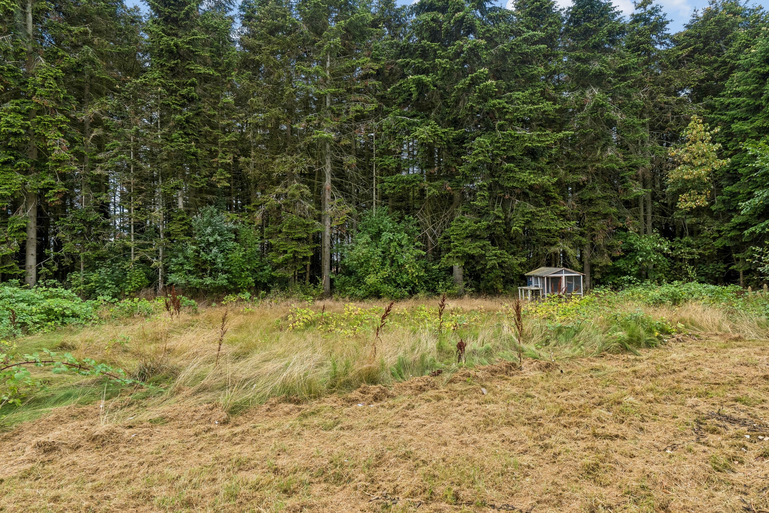 Skønt beliggende hus på dobbeltgrund op til skov
